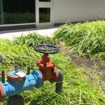 Water Pollutant Control